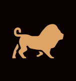 Rasta Rica Little Lion